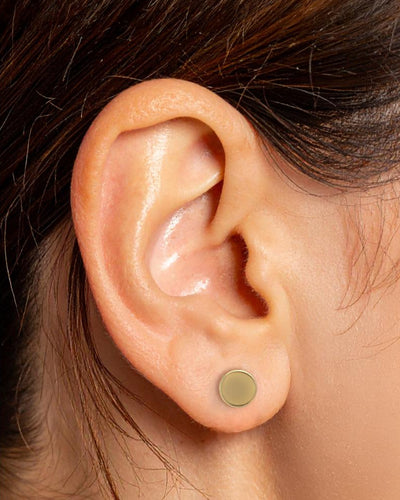 Seahorse, Flamingo & Disc Stud Earrings Set – Gold Finish