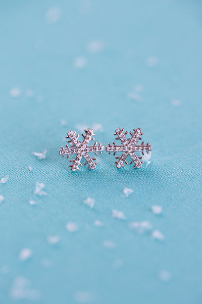 Snowflake (Sectored) Holiday Crystal Silver Stud Earrings