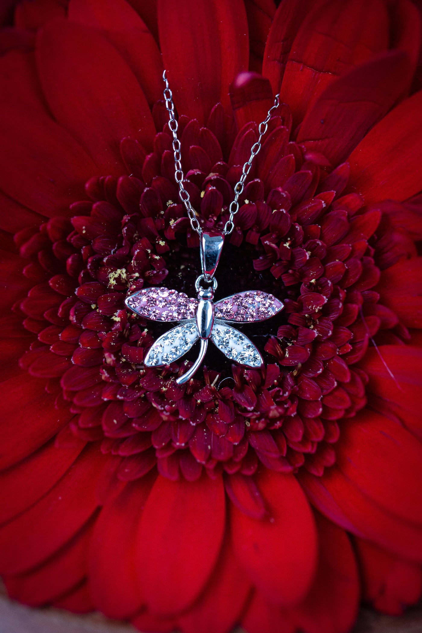 Light Pink Crystal Dragonfly Silver Necklace | Annie and Sisters
