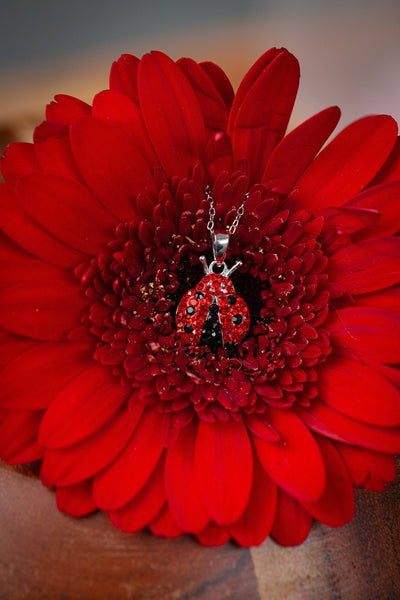 Red Crystal Ladybug Necklace | Annie and Sisters